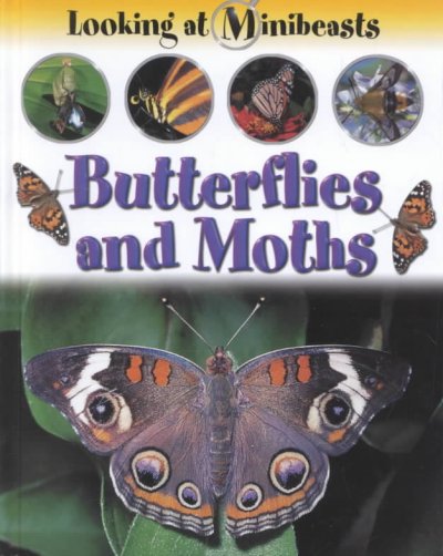 Butterflies and moths / by Sally Morgan.