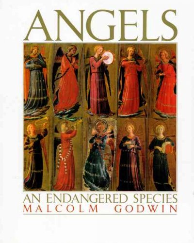 Angels : an endangered species / by Malcolm Godwin.