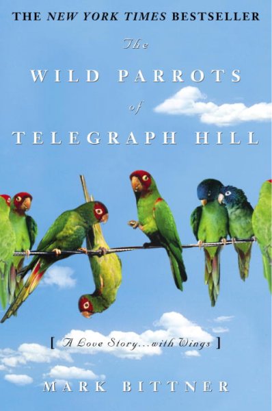 The wild parrots of Telegraph Hill : a love story ... with wings / Mark Bittner.