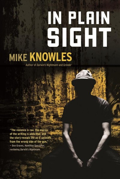 In plain sight : [a mystery] / Mike Knowles.