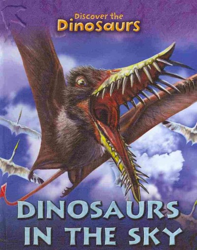 Dinosaurs in the sky / by Joseph Staunton ; Luis Rey, illustrator.