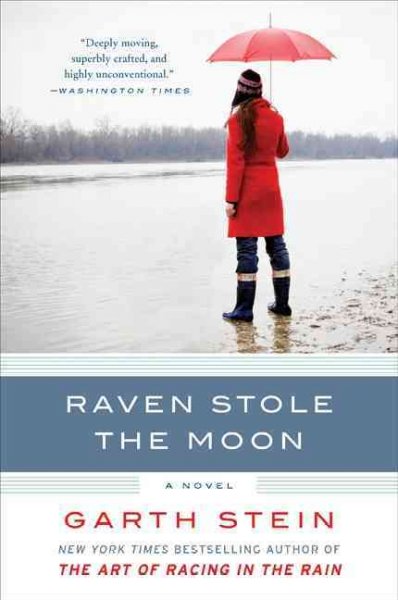 Raven stole the moon : a novel / Garth Stein.
