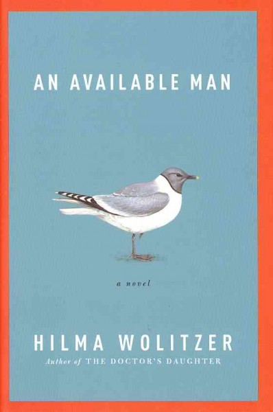 An available man : a novel / Hilma Wolitzer.