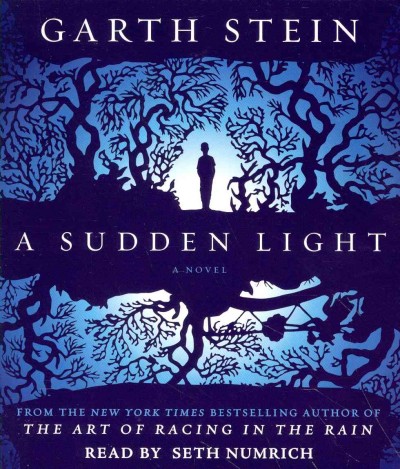 A sudden light / Garth Stein.