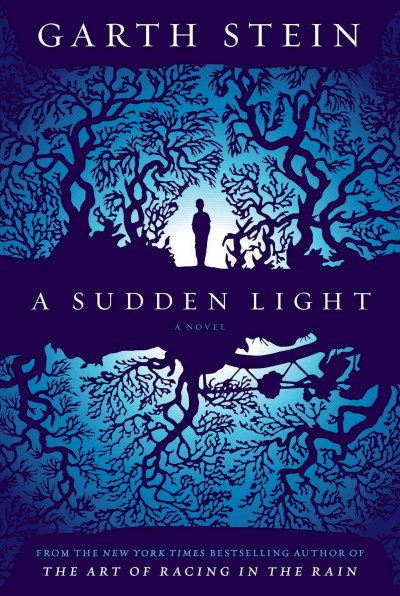 A sudden light : a novel / Garth Stein.