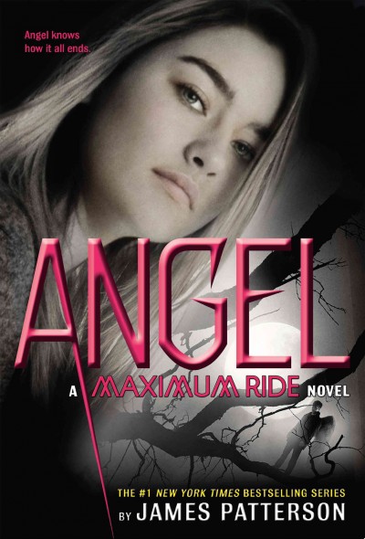 Angel [electronic resource] : Maximum Ride Series, Book 7. James Patterson.