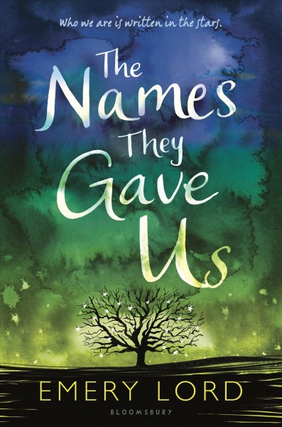 The names they gave us / by Emery Lord.