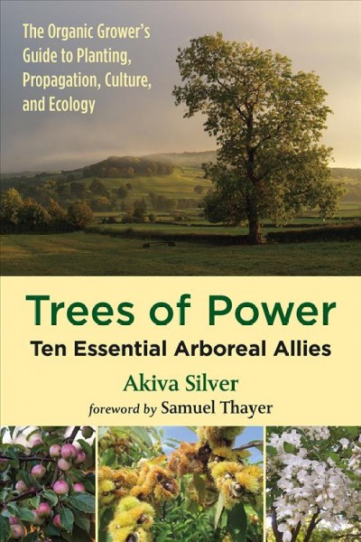 Trees of power : ten essential arboreal allies / Akiva Silver ; foreword by Samuel Thayer.