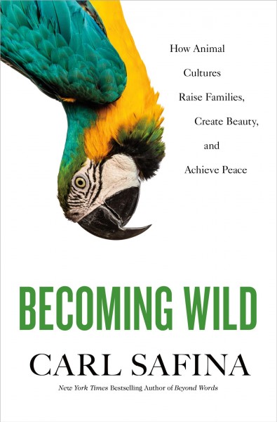Becoming wild : how animal cultures raise families, create beauty, and achieve peace / Carl Safina.