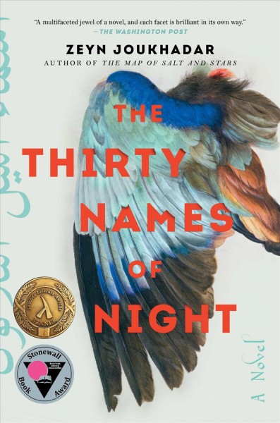 The thirty names of night : a novel / Zeyn Joukhadar.