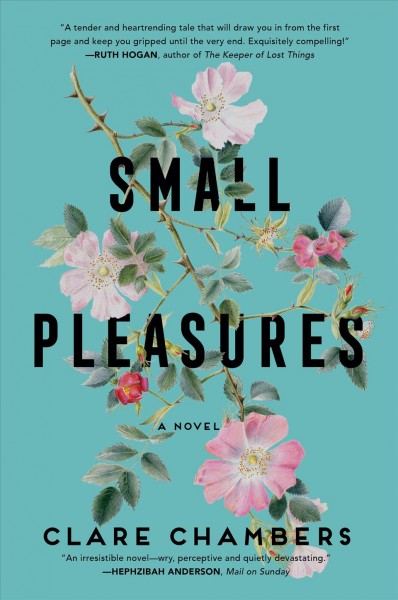 Small pleasures : a novel / Clare Chambers.