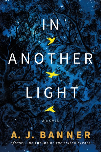 In another light : a novel / A.J. Banner.