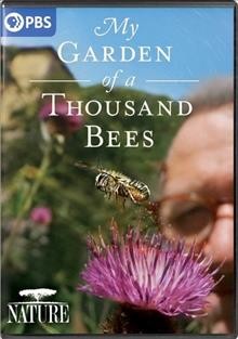 My garden of a thousand bees [DVD videorecording] / a production of Passion Planet, the WNET Group, and HHMI Tangled Bank Studios in association with Ammonite Films ; produced by Thirteen Productions ; directed by David Allen ; written by David Allen and Martin Dohrn ; produced by Gaby Bastyra ; series produced by Bill Murphy.