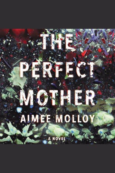 The perfect mother : a novel [electronic resource] / Aimee Molloy.