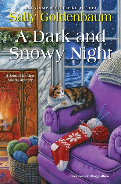 A dark and snowy night [electronic resource] / Sally Goldenbaum.