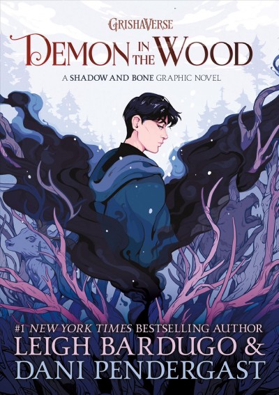 Demon in the wood / Leigh Bardugo & Dani Pendergast.