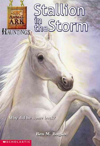 Stallion in the storm / Ben M. Baglio ; illustrations by Ann Baum.