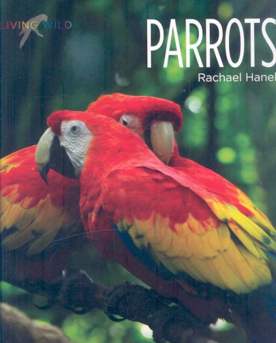 Parrots / Rachael Hanel.
