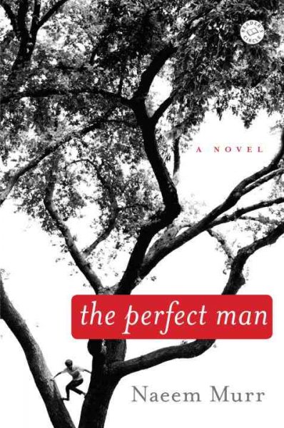 The perfect man : a novel / Naeem Murr.