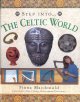 Go to record Step into the... Celtic world
