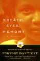 Go to record Breath, eyes, memory : a novel