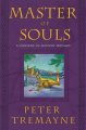 Master of souls : a mystery of ancient Ireland  Cover Image