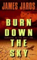 Burn down the sky  Cover Image