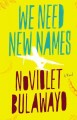 Go to record We need new names : a novel