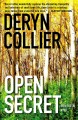 Go to record Open secret : a Bern Fortin novel