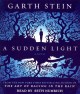 A sudden light  Cover Image