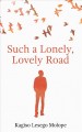 Such a lonely, lovely road : a novel  Cover Image