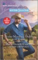 Rocky Mountain daddy  Cover Image