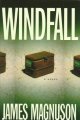 Go to record Windfall : a novel